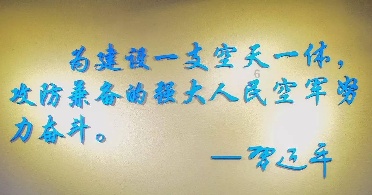 探索小猫的生活习性是什么?,解锁知识星球的精彩世界